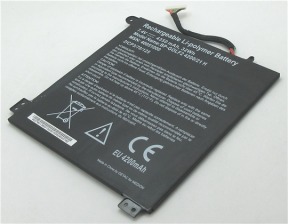 Acer BP-GOLF2 4200/21 H